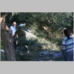 550 Eine Knochenarbeit....JPG 550 Eine Knochenarbeit....JPG